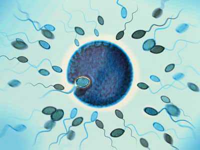 供精試管嬰兒技術全解析